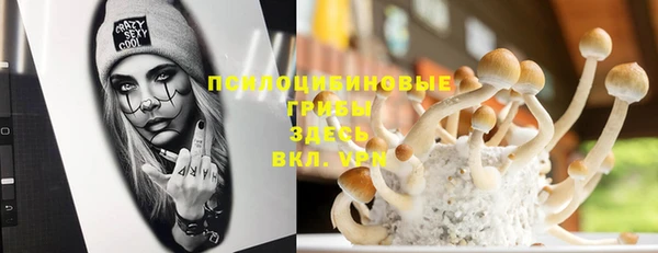 mix Армянск