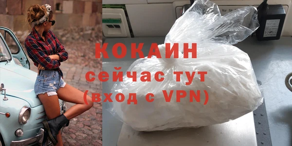 твердый Арсеньев