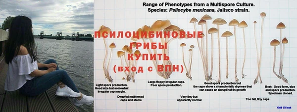 твердый Арсеньев