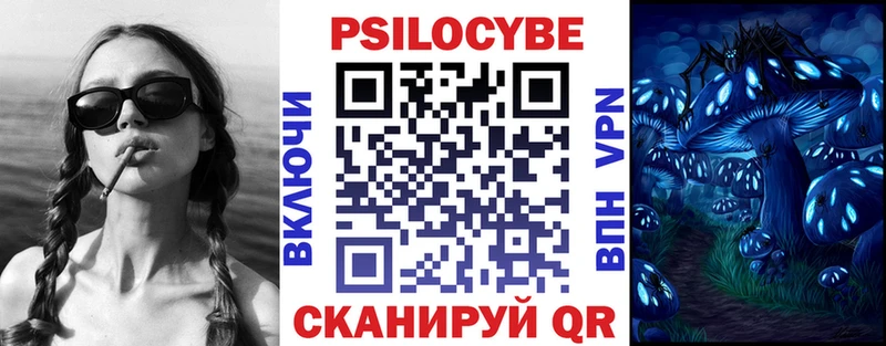 где можно купить   Ишимбай  Галлюциногенные грибы Psilocybe 